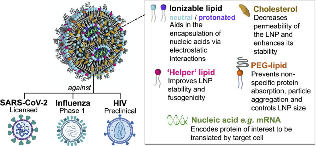 mRNA-LNP Encapsulation Service
