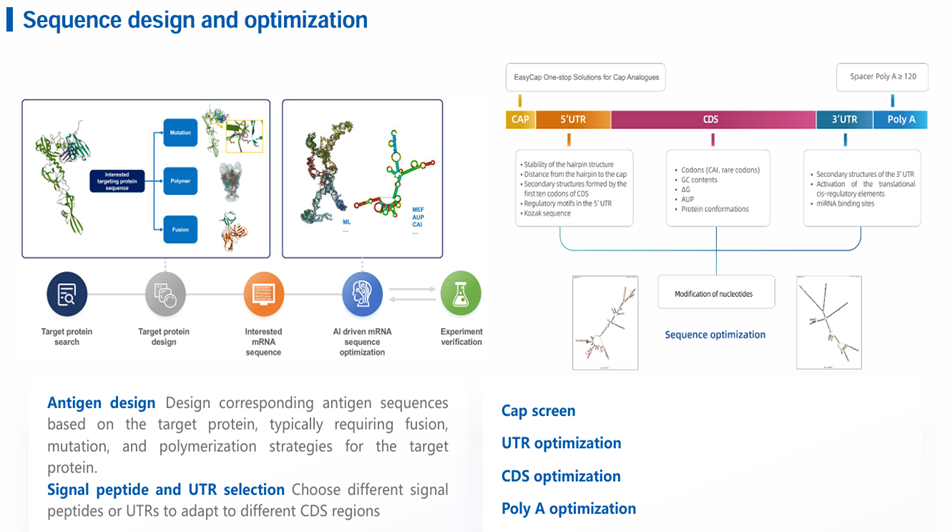 The Next Era of RNA Therapeutics: Innovations, Challenges, and Opportunities in 2025