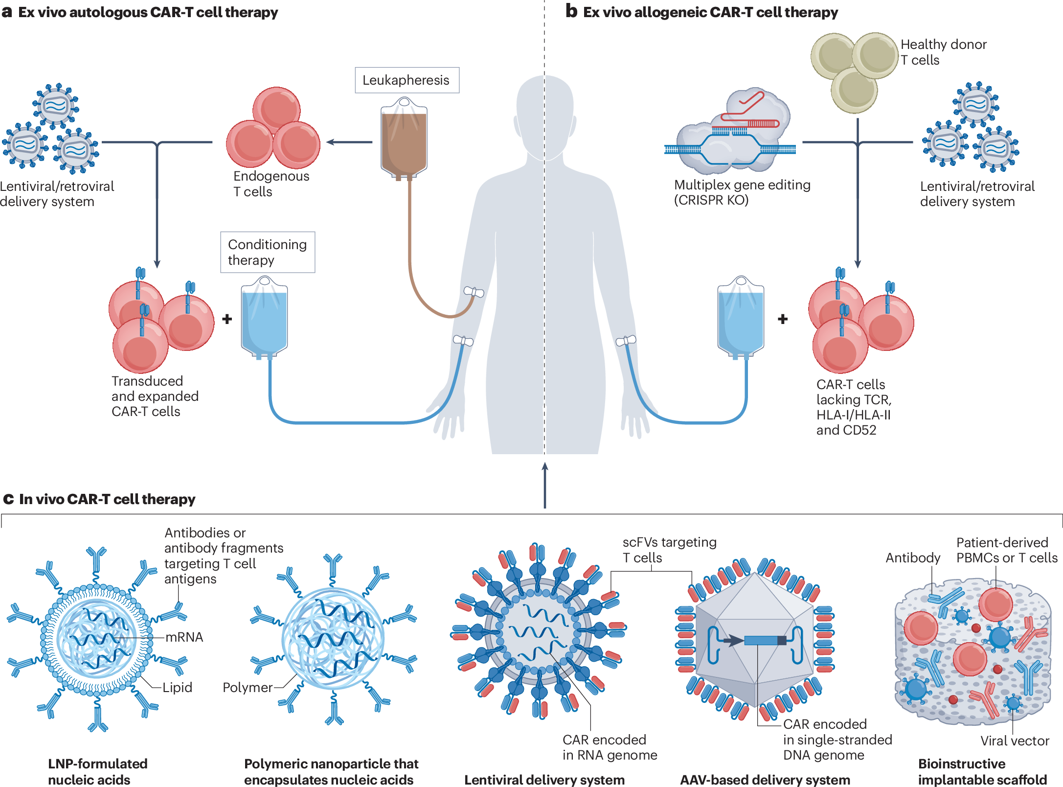 The Next Frontier: How In Vivo CAR-T Therapy is Rewriting the Cell & Gene Playbook