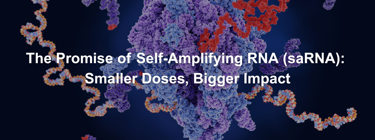 The Promise of Self-Amplifying RNA (saRNA): Smaller Doses, Bigger Impact