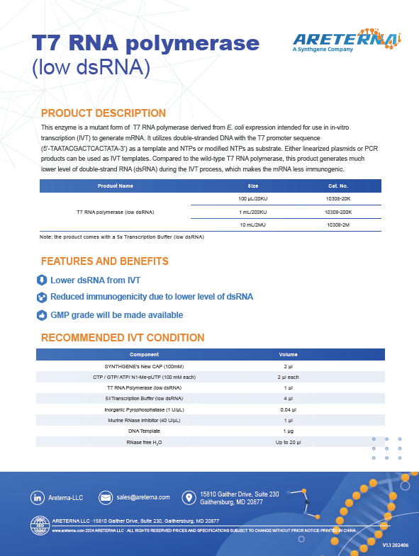 T7 RNA polymerase (low dsRNA)