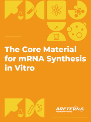 The Core Material for mRNA Synthesis in Vitro