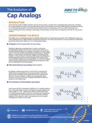 The Evolution of Cap Analogs