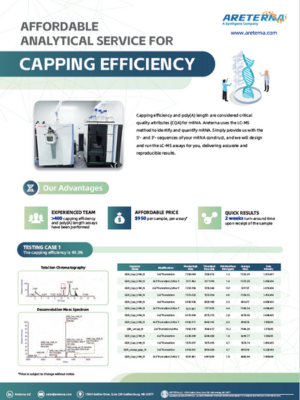 Affordable Analytical Service for Capping Efficiency