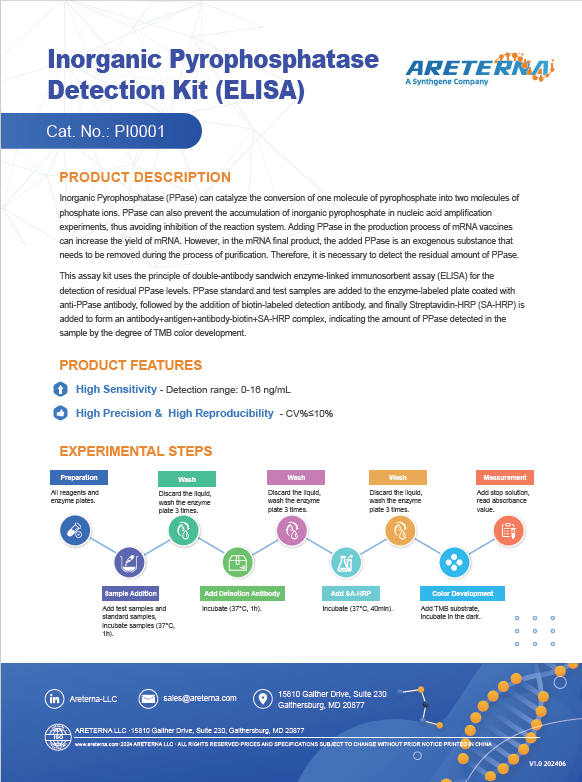 Inorganic Pyrophosphatase Detection Kit (ELISA)