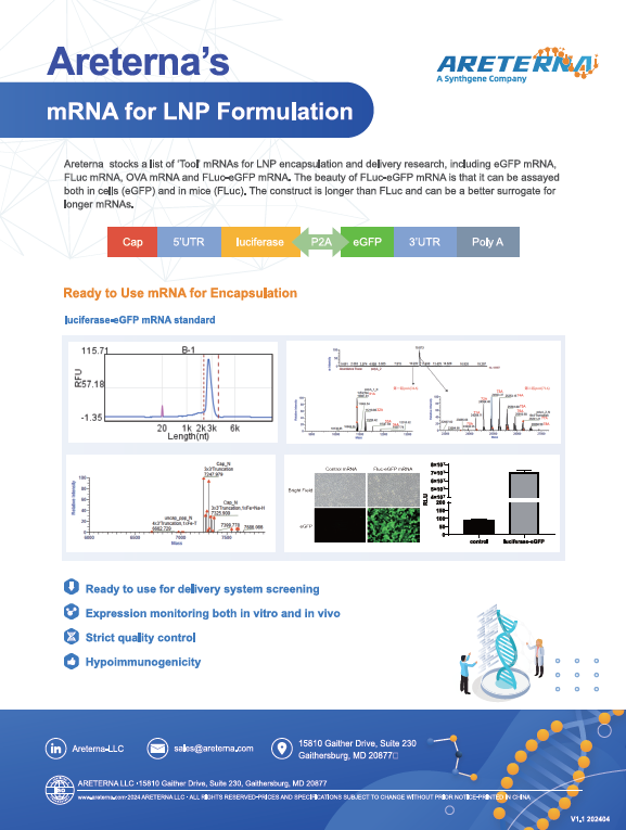 mRNA for LNP Formulation