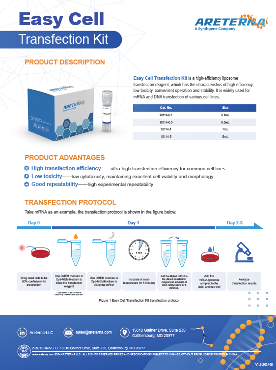 Easy Cell Transfection Kit