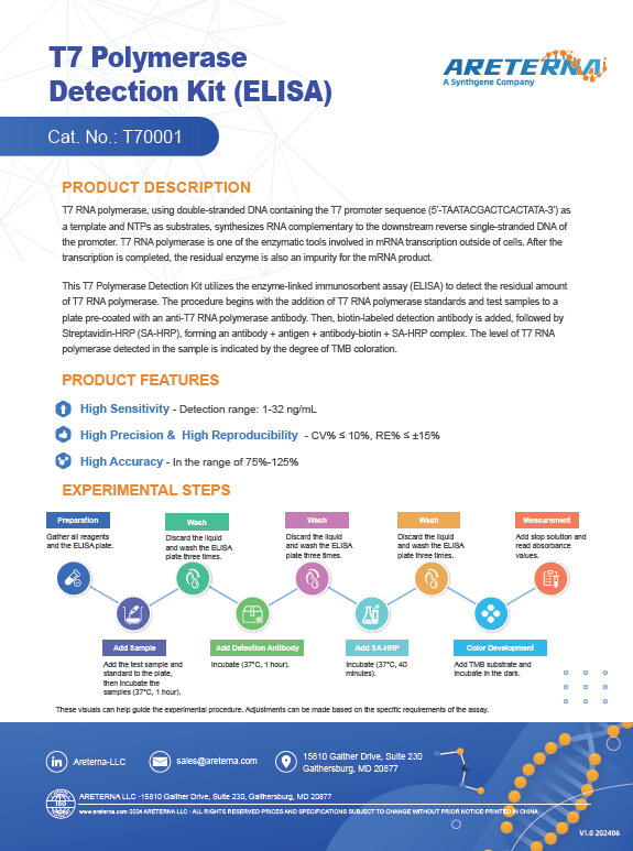 T7 Polymerase Detection Kit (ELISA)