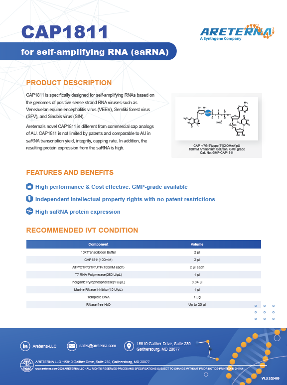 CAP1811 for self-amplifying RNA (saRNA)