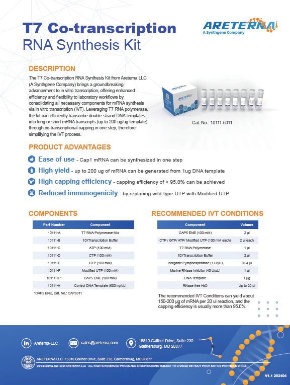 T7 Co-Transcription RNA Synthesis Kit