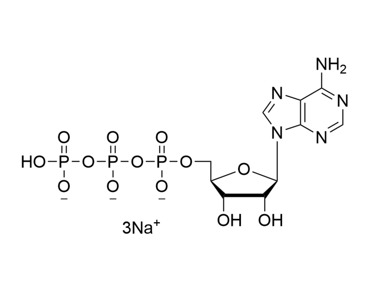 ATP 100mM Sodium Solution