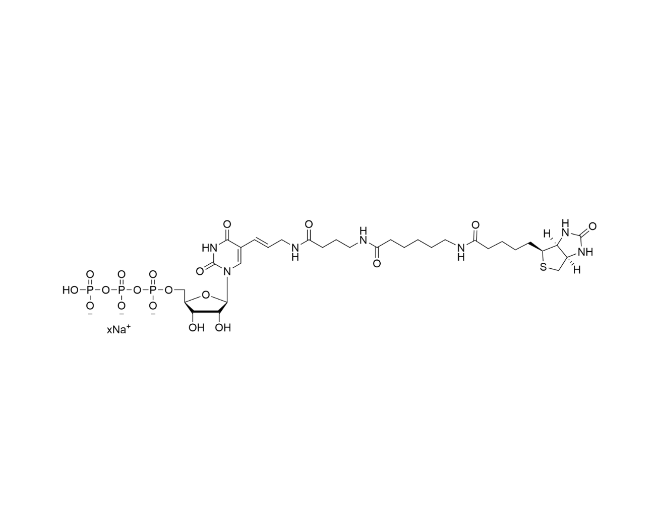 Biotin-16-UTP 10mM Sodium Solution