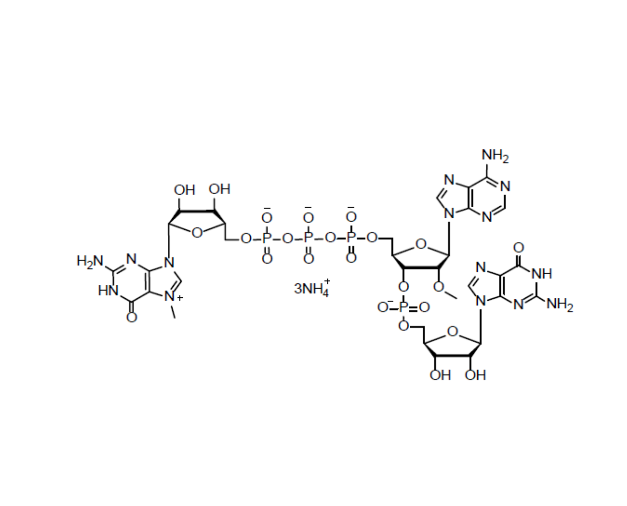 CAP GAG m7G(5')ppp(5')(2'OMeA)pG 100mM Ammonium Solution
