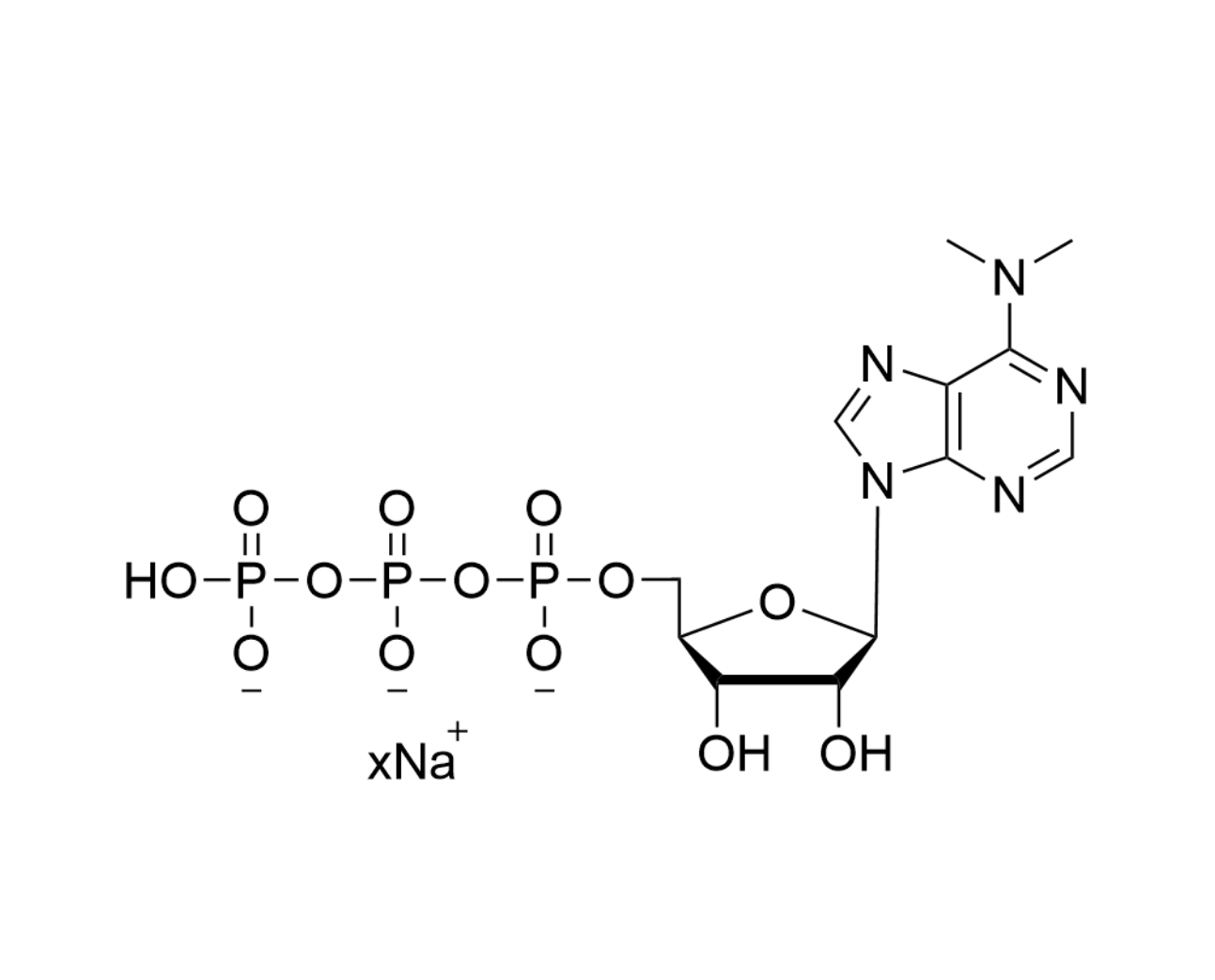 N6-Dimethyl-ATP 100mM Sodium Solution