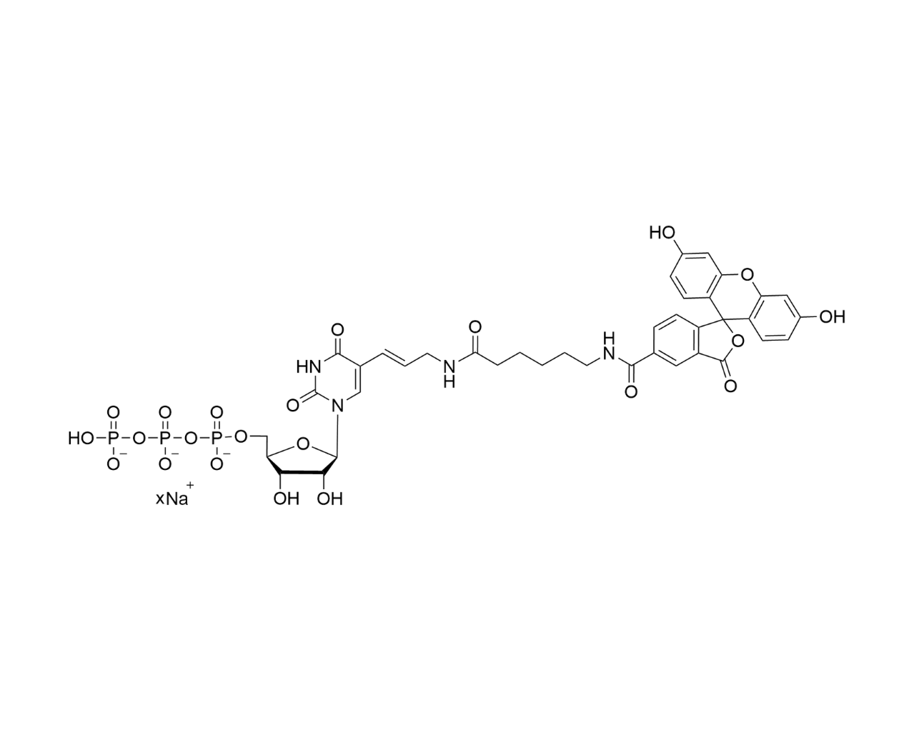 Fluorescein-12-UTP 10mM Sodium Solution