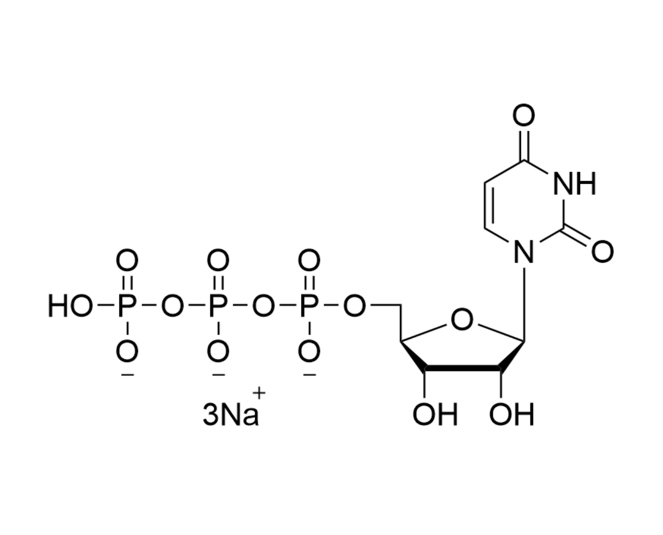 UTP 100mM Sodium Solution