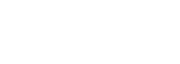 Areterna LLC