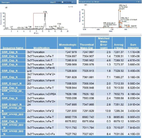 Fluc-eGFP mRNA, Dual-Reporter for Protein Expression - Areterna